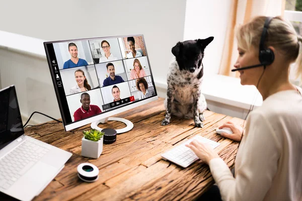 Відеоконференція Вебінар Дзвінок Собакою Онлайн Робочої Зустрічі — стокове фото
