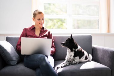 İnternette sörf yapan ya da köpekle koltukta dizüstü bilgisayarda alışveriş yapan kadınlar.