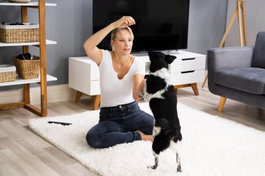 Kadın antrenmanı ve evde evcil köpekle oynaması