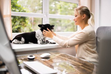 Evde köpekle iş bilgisayarı kullanan bir kadın.