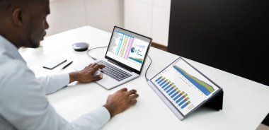 Afro-Amerikan İş Veri Analitik Yazılım Kullanımı Analisti