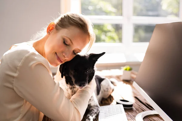 Frau Umarmt Hund Bei Der Arbeit Home Office — Stockfoto