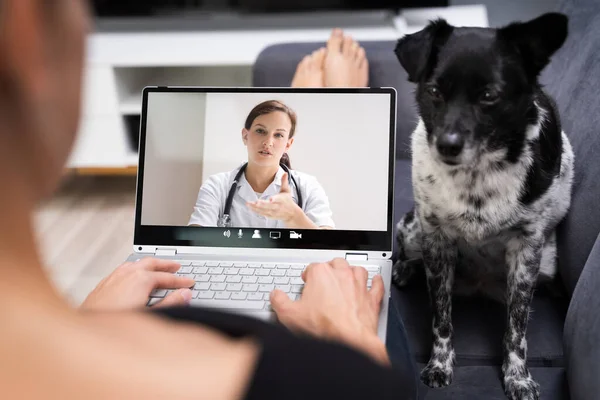 Web Video Conference Call With Doctor On Laptop Computer
