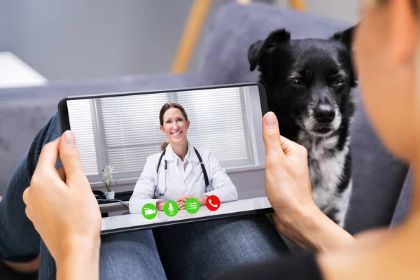 Web Video Conferência Chamada Com Médico Computador Tablet — Fotografia de Stock