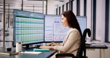 Analist Bilgisayarda İş Veri Denetleme Hesap Tablosu