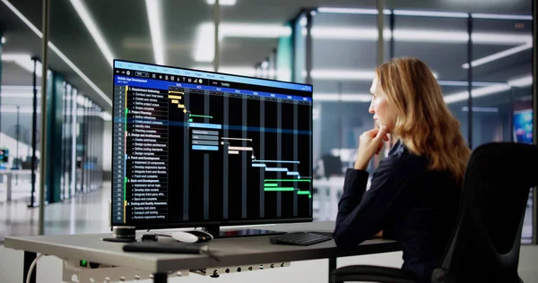 Data Analyst Woman Using Spreadsheet Computer — Stock Photo, Image