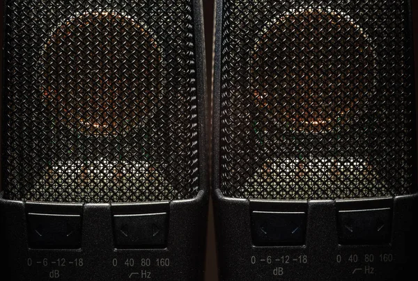 Detailní Pohled Moderní Kondenzátorový Mikrofon Membrány Vzor Detaily — Stock fotografie