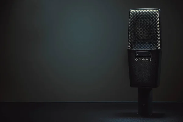 Vista Perto Microfone Condensador Moderno Detalhes Membrana Padrão — Fotografia de Stock