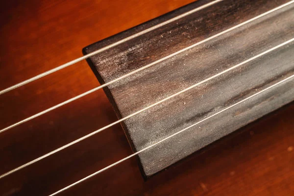 Details Old Dusty Cello Closeup View Strings Body — Stock Photo, Image