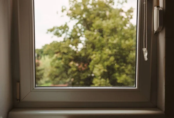 面白いと単純なシーン日中窓の後ろから見る普通の生活状況から — ストック写真