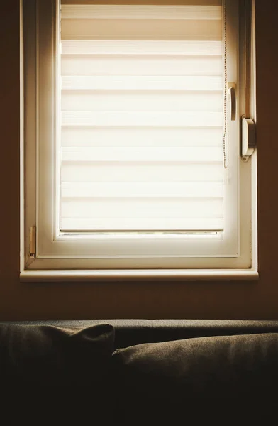 Lginç Basit Sahne Bir Sıradan Hayat Durumdan Pencerenin Arkasından Gün — Stok fotoğraf