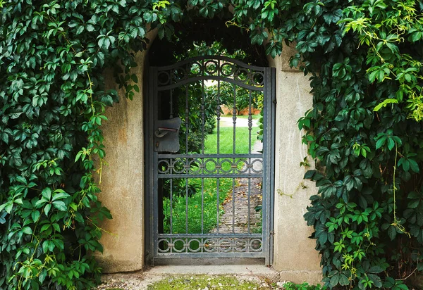 日の間に金属製のドアの周りの庭園 緑葉の入り口 — ストック写真