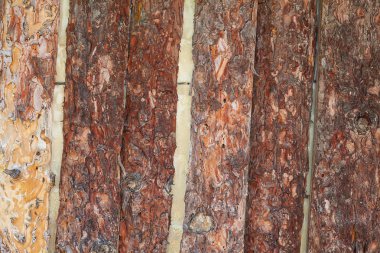 Eski ahşap doku, closeup görünümü üzerinde kir ve yapısı. 