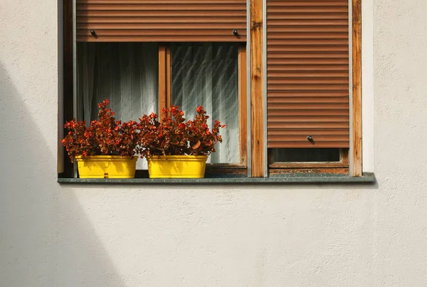 Detaljer För Ett Gammalt Fönster Dekorerade Med Röda Blommor — Stockfoto