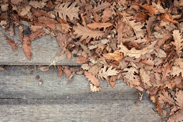 Листья и доски — стоковое фото