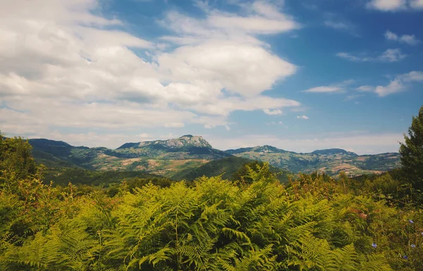 Közép-Szerbia természet — Stock Fotó