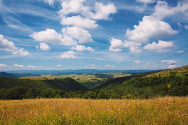 alanlar ve çayırlar 