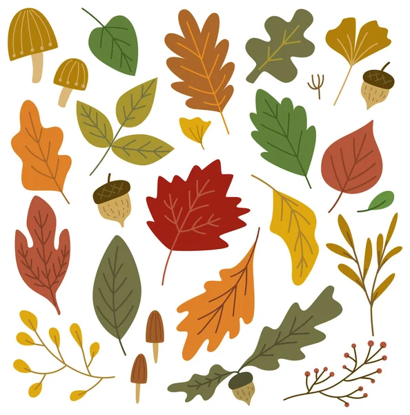 Conjunto Hojas Otoño — Vector de stock