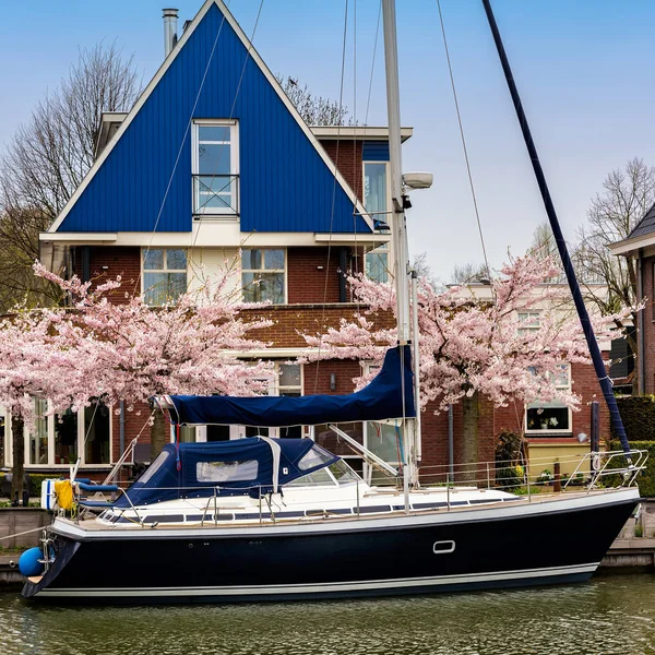 Edam Hollandia 2018 Április Hagyományos Holland Ház Yacht Virágzó Tavasszal — Stock Fotó