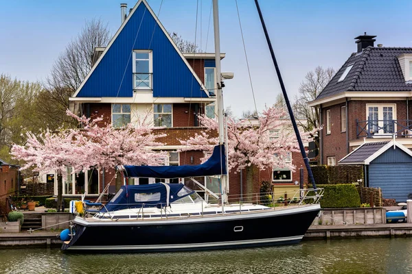 Edam Hollandia 2018 Április Hagyományos Holland Ház Yacht Virágzó Tavasszal — Stock Fotó