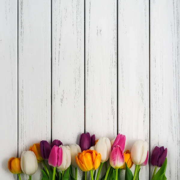 Hermosos Tulipanes Multicolores Sobre Fondo Madera Blanca Vista Superior Espacio —  Fotos de Stock