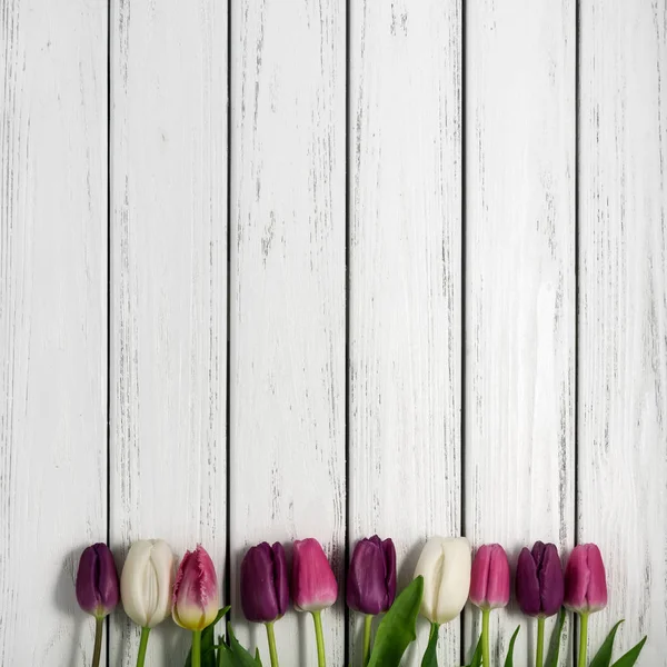 Belles Tulipes Multicolores Sur Fond Blanc Bois Vue Dessus Espace — Photo