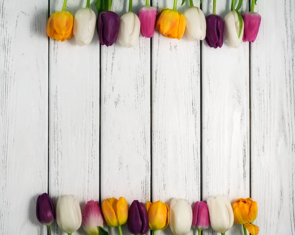 Prachtige Veelkleurige Tulpen Witte Houten Achtergrond Top Uitzicht Kopiëren Van — Stockfoto