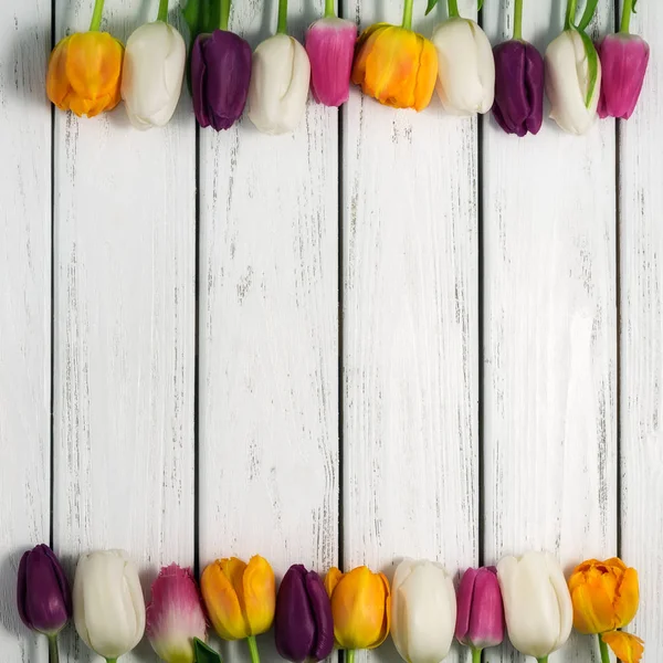 美丽的五颜六色的郁金香在白色木制背景 顶部视图 复制空间 文本的空间 明信片模板 春花的概念 快乐的母亲 情人节 国际妇女日 — 图库照片