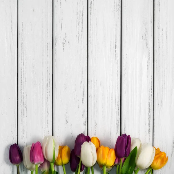 Prachtige Veelkleurige Tulpen Witte Houten Achtergrond Top Uitzicht Kopiëren Van — Stockfoto