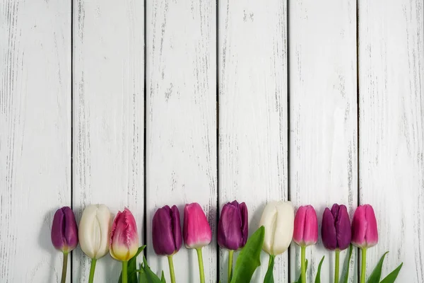 美丽的五颜六色的郁金香在白色木制背景 顶部视图 复制空间 文本的空间 明信片模板 春花的概念 快乐的母亲 情人节 国际妇女日 免版税图库照片