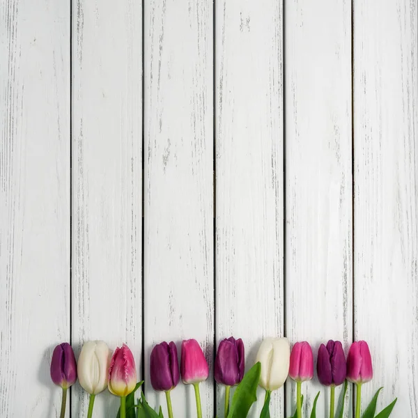 Hermosos Tulipanes Multicolores Sobre Fondo Madera Blanca Vista Superior Espacio Imagen De Stock
