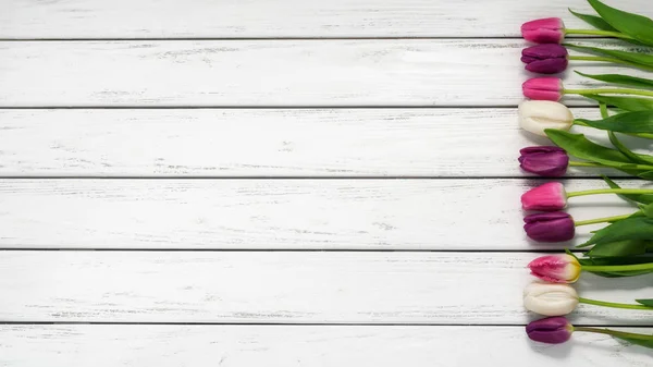 Разноцветные Тюльпаны Белом Деревянном Фоне Вид Сверху Пространство Копирования Пространство Стоковое Фото