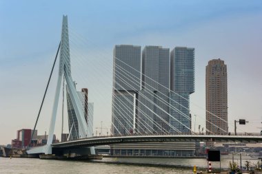 Rotterdam, Hollanda - 13 Nisan 2018: Görünüm Rotterdam Maas nehri ile cityscape, ayrıca denilen The Swan, Erasmus Köprüsü'nde. Hollanda'nın en büyük kombine Baskül Askılı köprü olduğunu.