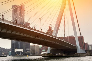 Rotterdam, Hollanda - 13 Nisan 2018: Cityscape günbatımı, ayrıca denilen The Swan, sırasında ile Erasmus Bridge görünüm Rotterdam Maas nehri üzerinde.