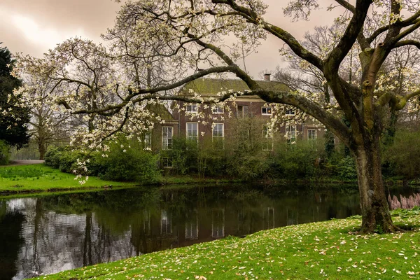Szép Tavaszi Jelenet Het Park Rotterdam Városi Park Során Naplemente — Stock Fotó