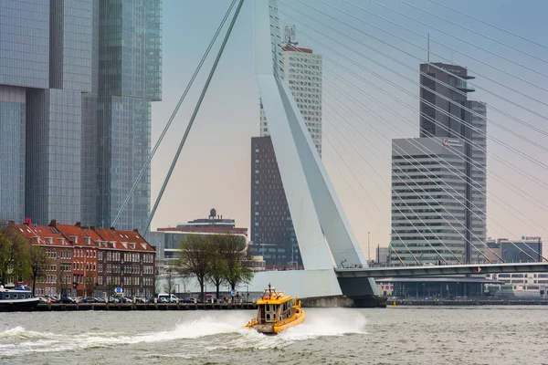 Rotterdam Hollandia 2018 Április Nézd Városkép Hívott Hattyú Erasmus Híd — Stock Fotó
