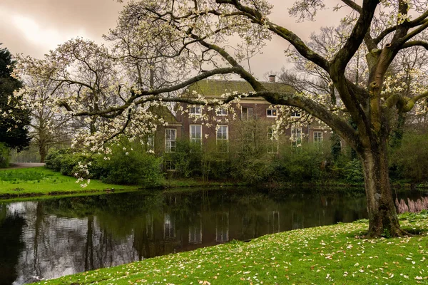 Szép Tavaszi Jelenet Het Park Rotterdam Városi Park Során Naplemente Stock Fotó