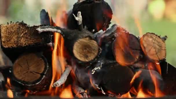 Gros plan du bois de chauffage en flamme — Video