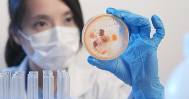 Kadın kimyacı Petri kabına laboratuvarda holding 
