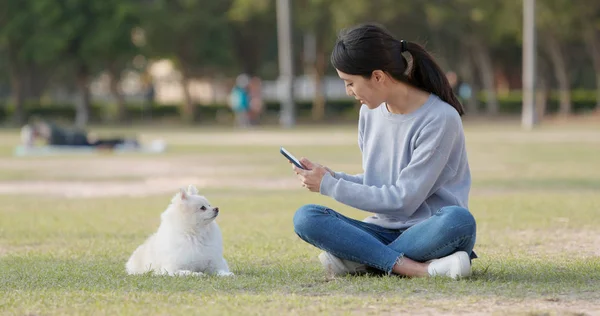 Женщина Фотографирует Свою Собаку Открытом Парке — стоковое фото