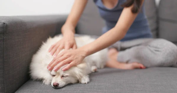 Onun Köpeği Dokunmaktan Koltukta Oturan Kadın — Stok fotoğraf