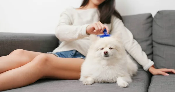 Mulher Escovando Seu Cão Casa — Fotografia de Stock