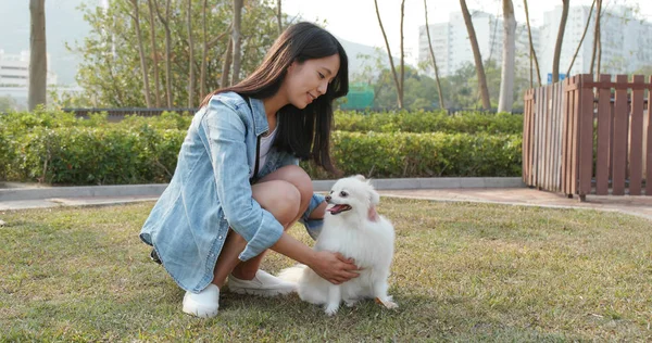 Азиатка Играет Собакой — стоковое фото