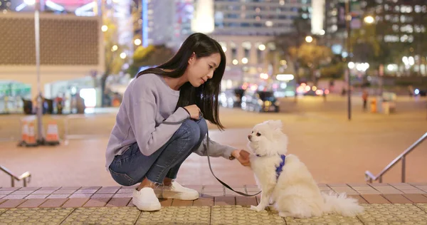 Kvinnan Går Med Sin Hund Staden Natten — Stockfoto