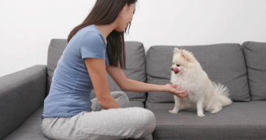 kadın köpeği eğitimi 