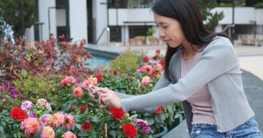 Kadın alarak resmi şehrin cep telefonu için