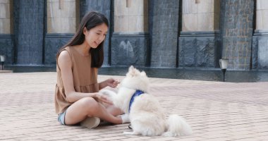 Pomeranya köpeği adlı açık ile oynayan kadın 