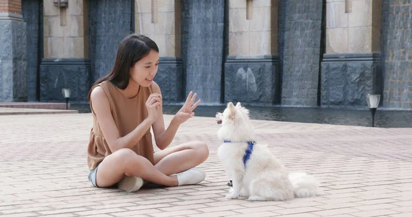 Mulher Brincando Com Seu Cão Livre — Fotografia de Stock