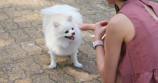 야외에서 그녀의 강아지와 — 스톡 사진