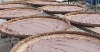 Güneşin içinde Tai O Hong Kong altında kurutulmuş karides yapıştırın